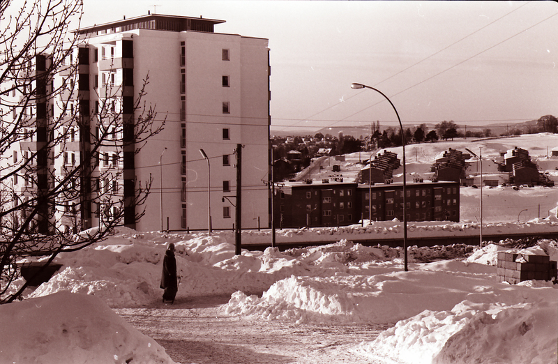 B20150119.jpg