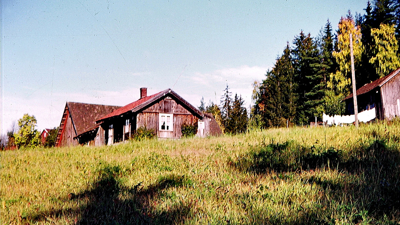 B20170037.jpg