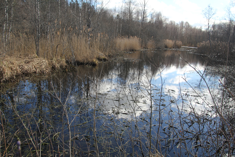 B20150004.jpg