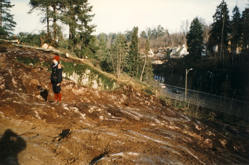 http://omeka.deichman.no/archive/import/B20110195.jpg