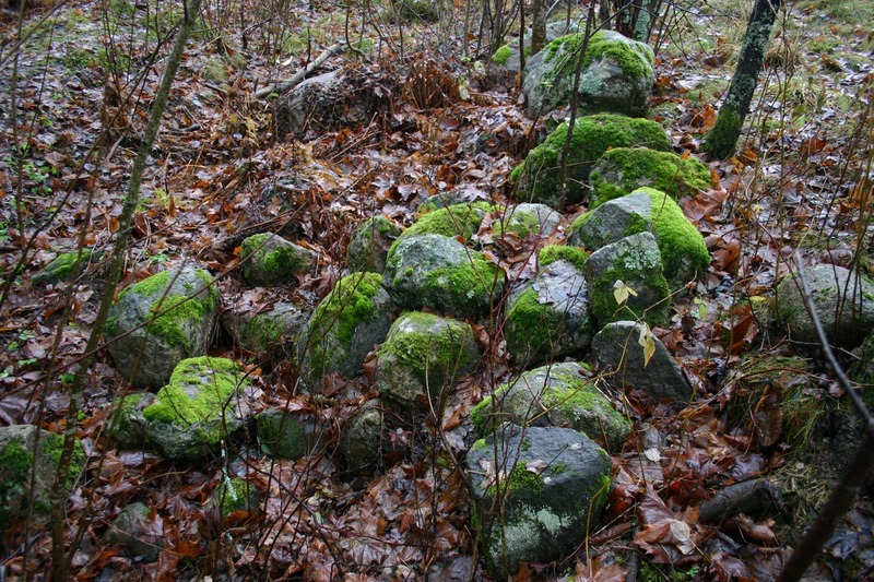 http://omeka.deichman.no/archive/import/B20050308.jpg