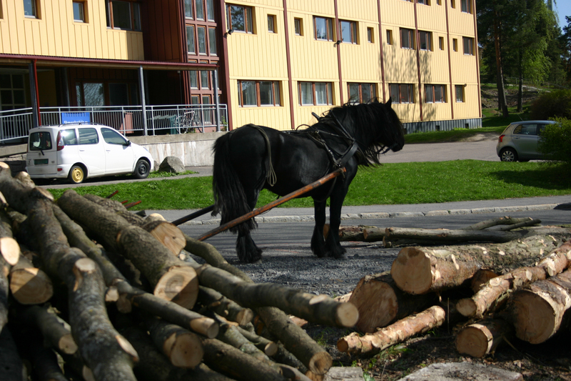 http://omeka.deichman.no/archive/import/B20110153.jpg