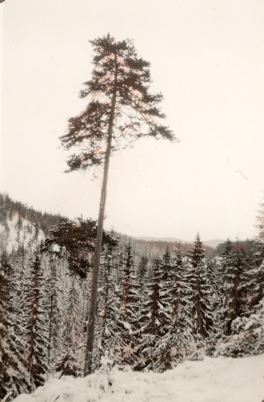 http://omeka.deichman.no/archive/import/B20070086.jpg