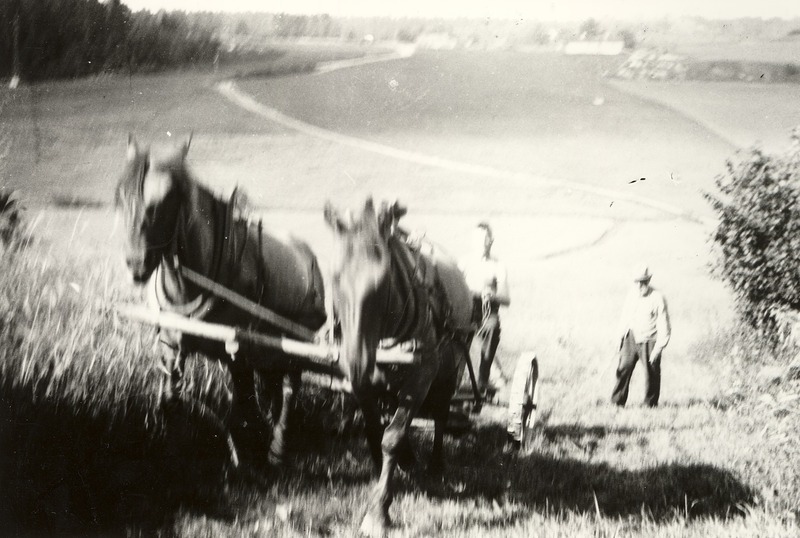 http://omeka.deichman.no/archive/import/B20100309.jpg