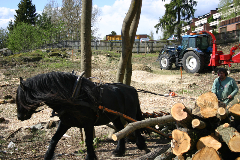 http://omeka.deichman.no/archive/import/B20110149.jpg
