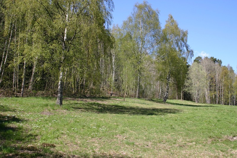 http://omeka.deichman.no/archive/import/B20060120.jpg