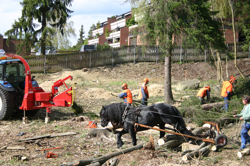 http://omeka.deichman.no/archive/import/B20110142.jpg