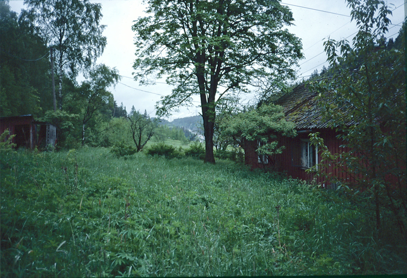 B20170046.jpg