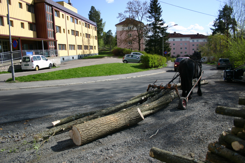 http://omeka.deichman.no/archive/import/B20110152.jpg