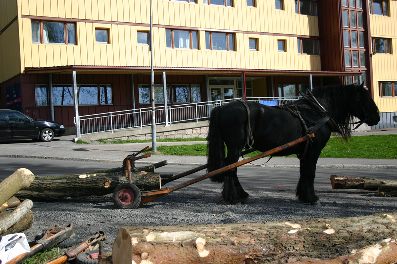 http://omeka.deichman.no/archive/import/B20110154.jpg