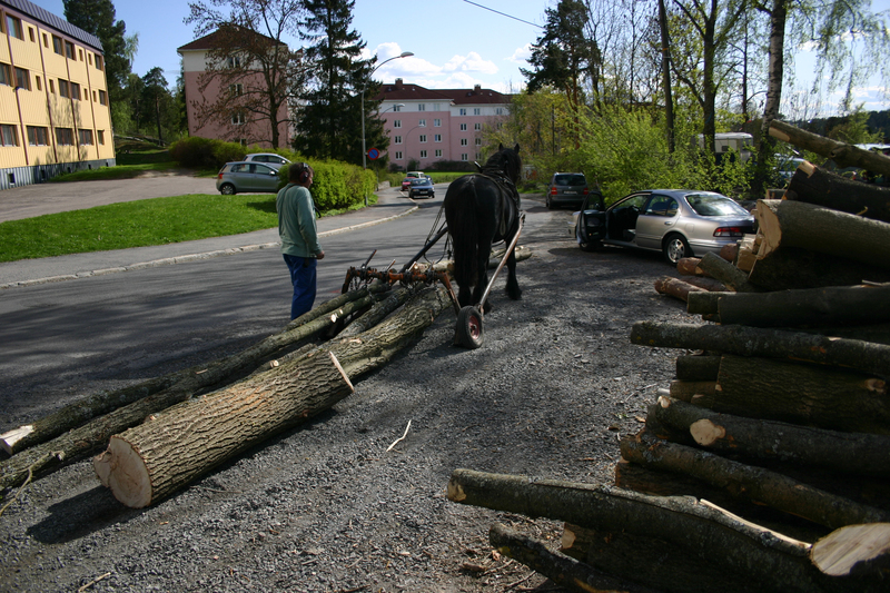 http://omeka.deichman.no/archive/import/B20110151.jpg