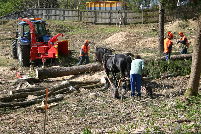 http://omeka.deichman.no/archive/import/B20110141.jpg