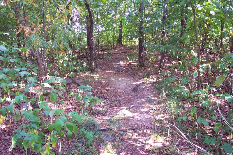 http://omeka.deichman.no/archive/import/B20060031.jpg
