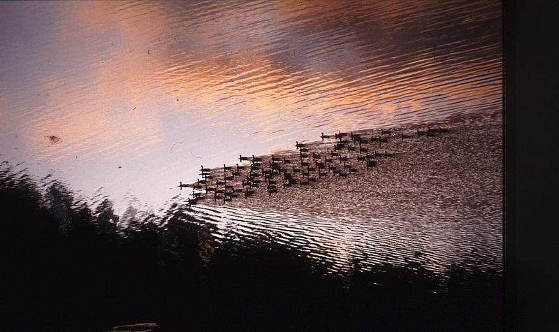 http://omeka.deichman.no/archive/import/B20100078.jpg