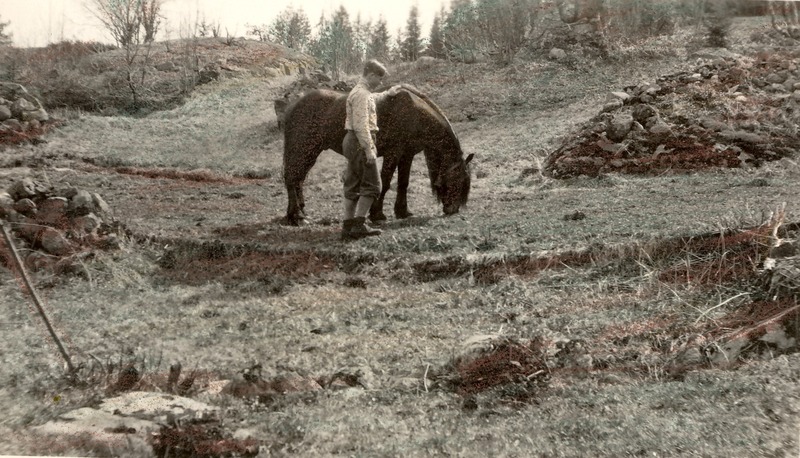 http://omeka.deichman.no/archive/import/B20070074.jpg