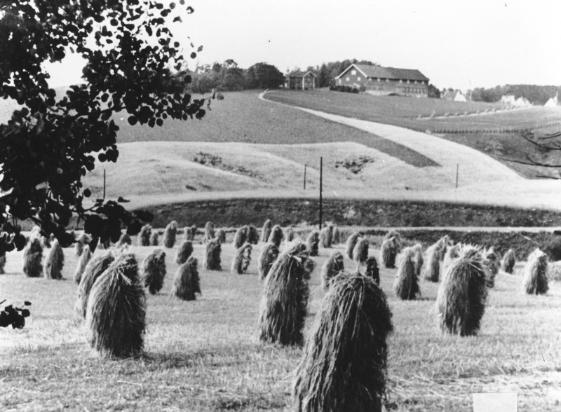 http://omeka.deichman.no/archive/import/B20050034.jpg