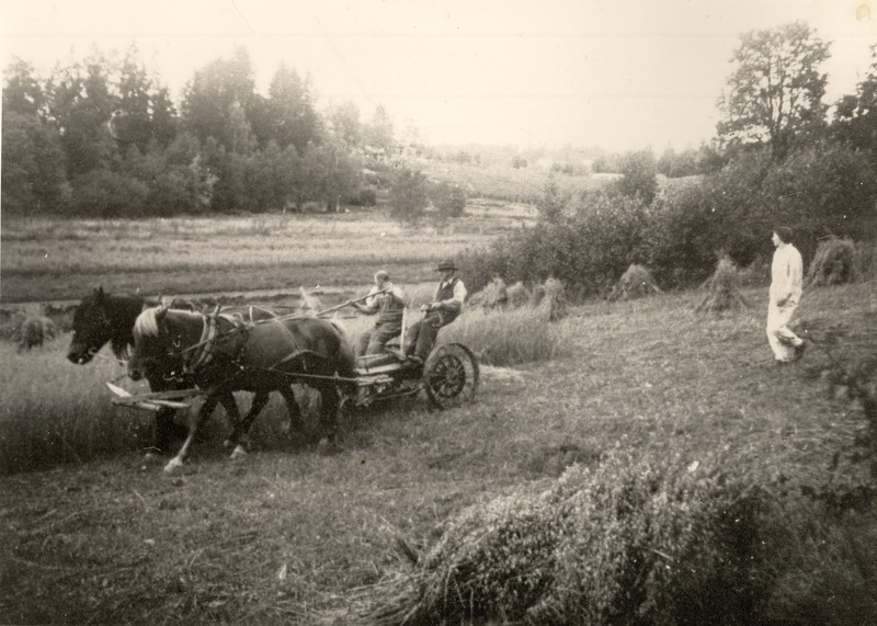 http://omeka.deichman.no/archive/import/B20040177.jpg