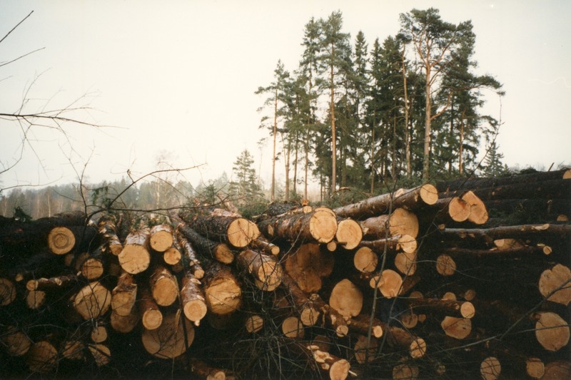 http://omeka.deichman.no/archive/import/B20110190.jpg