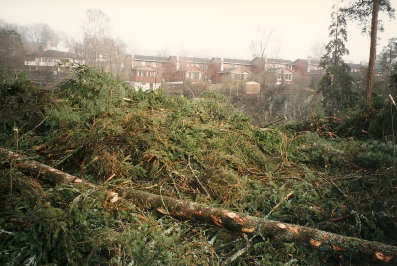http://omeka.deichman.no/archive/import/B20110185.jpg