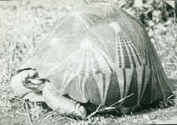 http://omeka.deichman.no/archive/import/B20040155.jpg
