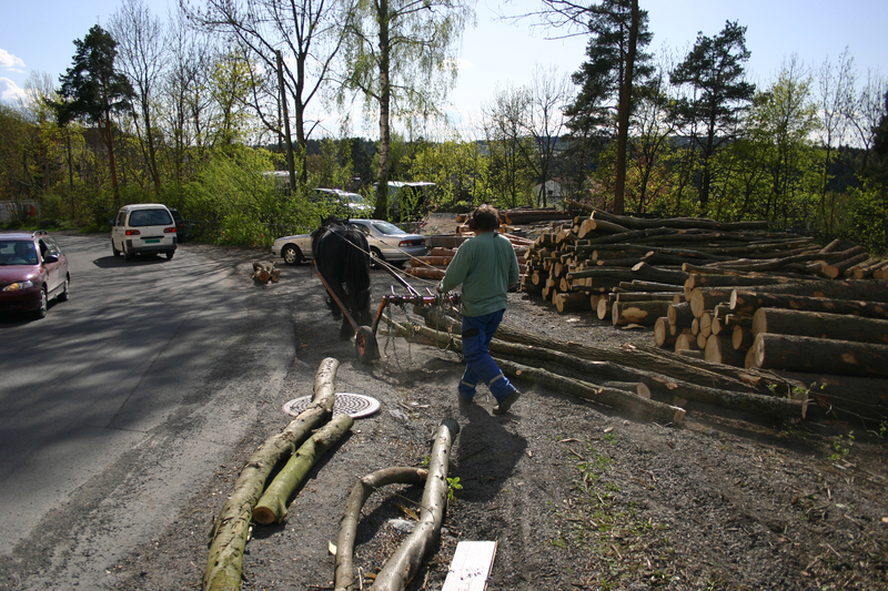 http://omeka.deichman.no/archive/import/B20110150.jpg