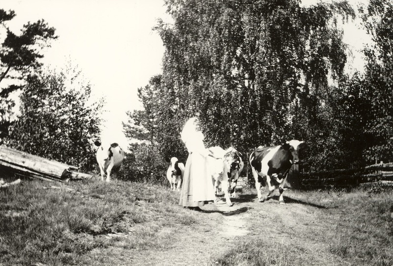 http://omeka.deichman.no/archive/import/B20100310.jpg