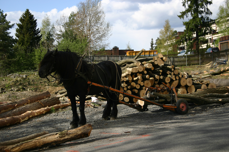 http://omeka.deichman.no/archive/import/B20110156.jpg