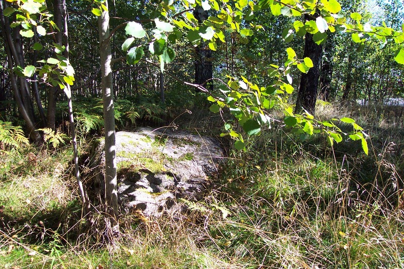 http://omeka.deichman.no/archive/import/B20060102.jpg