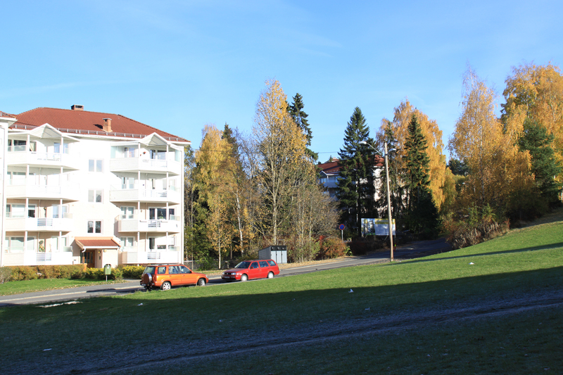 http://omeka.deichman.no/archive/import/B20110118.jpg