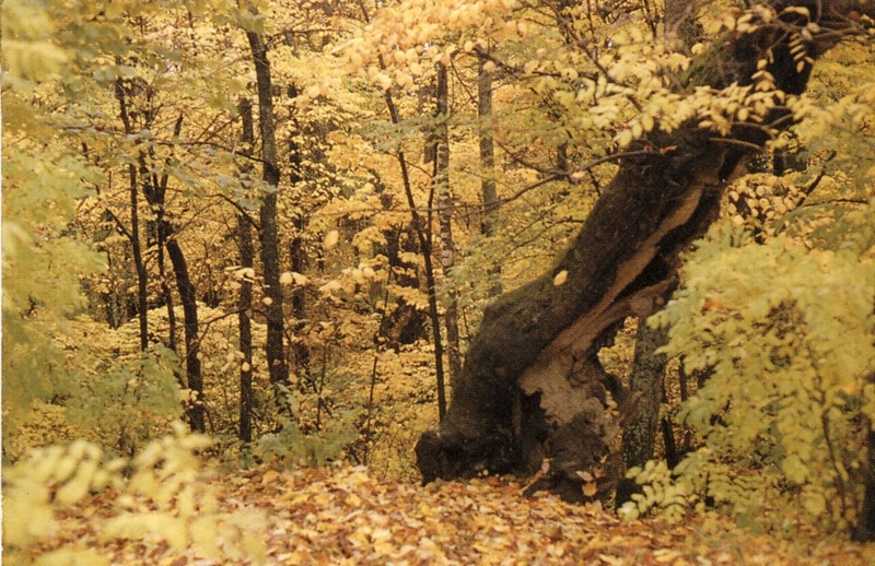 http://omeka.deichman.no/archive/import/B20040023.jpg