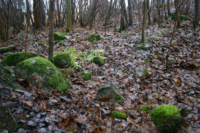 http://omeka.deichman.no/archive/import/B20050309.jpg