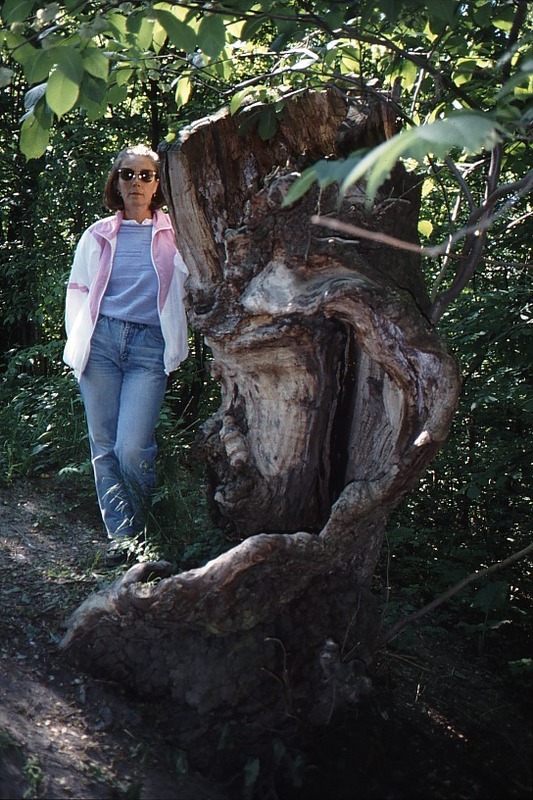http://omeka.deichman.no/archive/import/B20100077.jpg