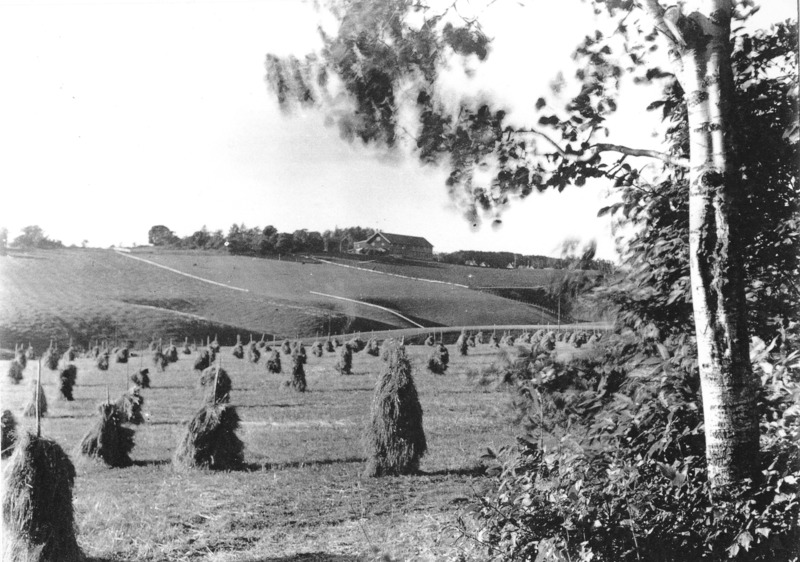 http://omeka.deichman.no/archive/import/B20050036.jpg