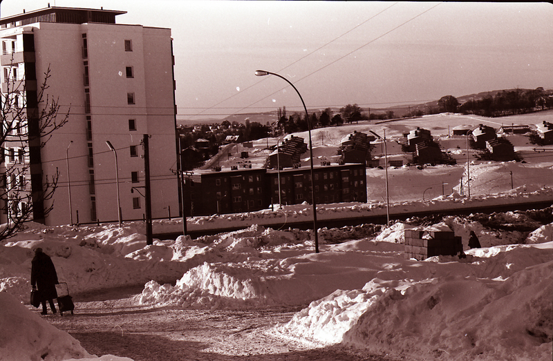 B20150118.jpg