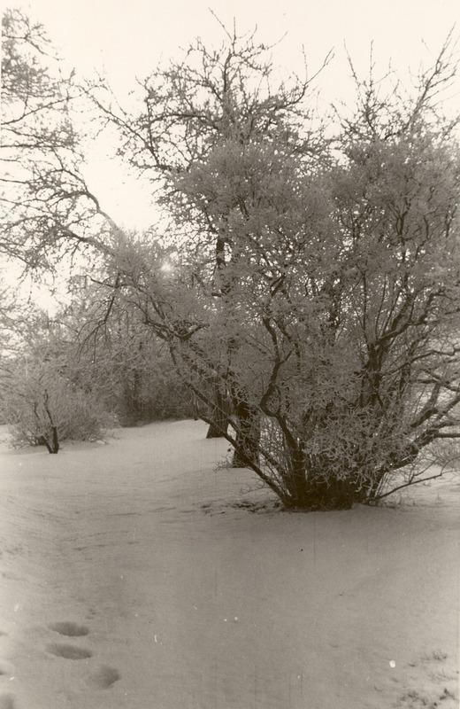 http://omeka.deichman.no/archive/import/B20110316.jpg