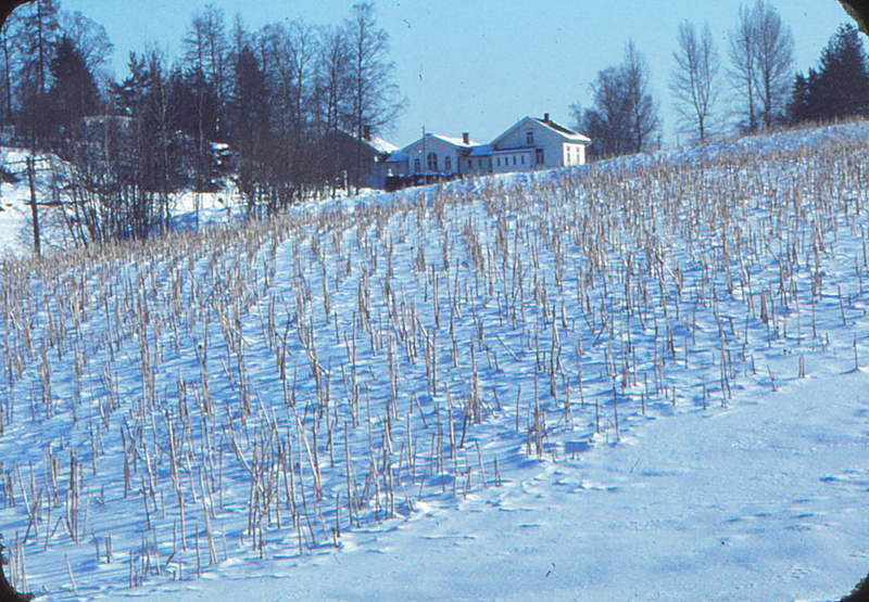 B20190035.jpg