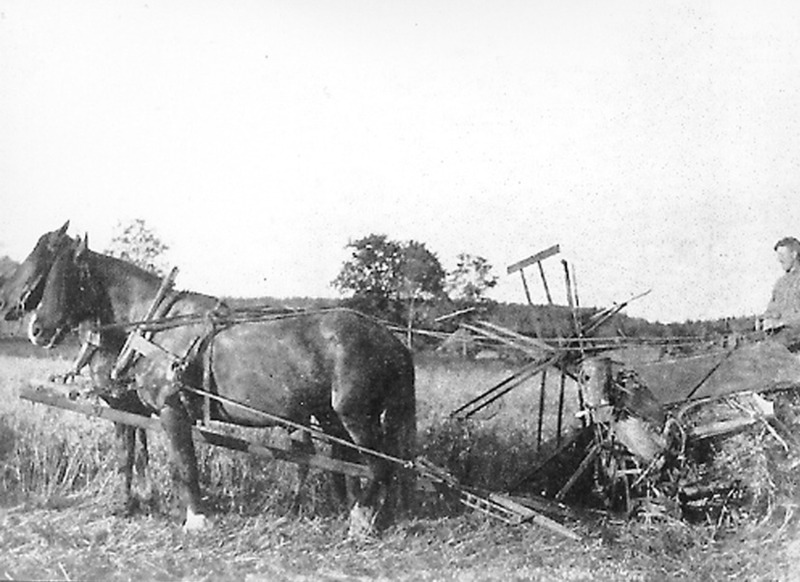 http://omeka.deichman.no/archive/import/B20030248.jpg