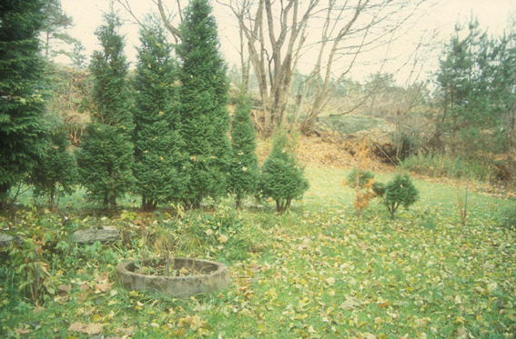 B20050316.jpg