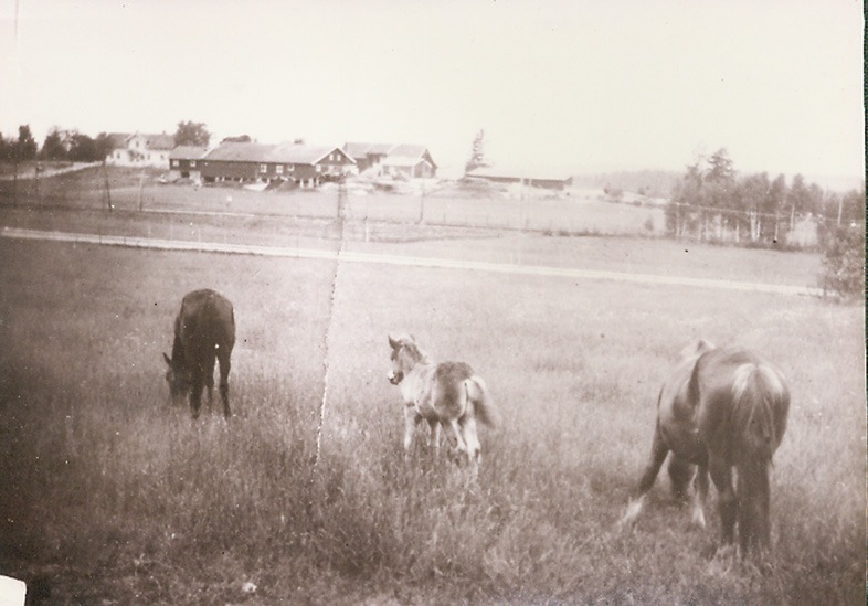 http://omeka.deichman.no/archive/import/B20030201.jpg