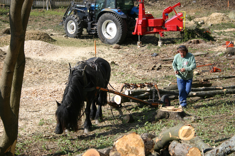 http://omeka.deichman.no/archive/import/B20110148.jpg