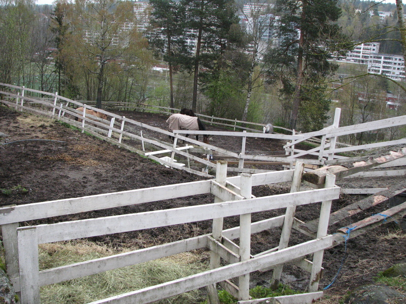 B20150045.jpg