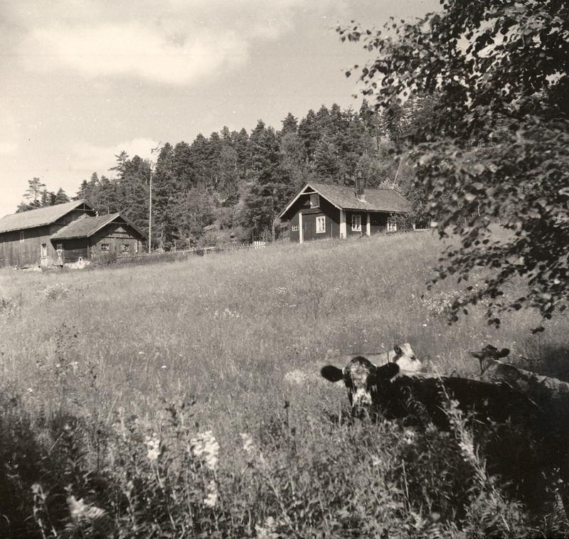 http://omeka.deichman.no/archive/import/B20040008.jpg