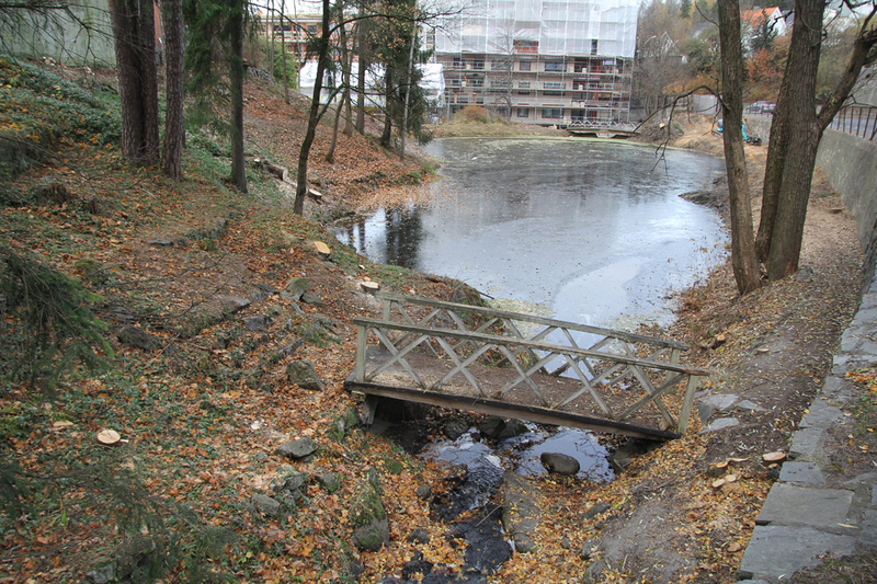 B20190168.jpg