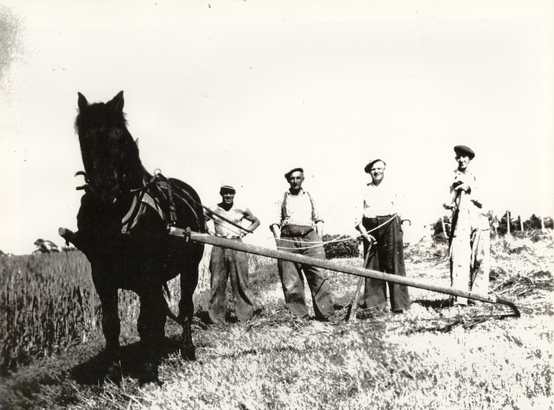 http://omeka.deichman.no/archive/import/B20040024.jpg