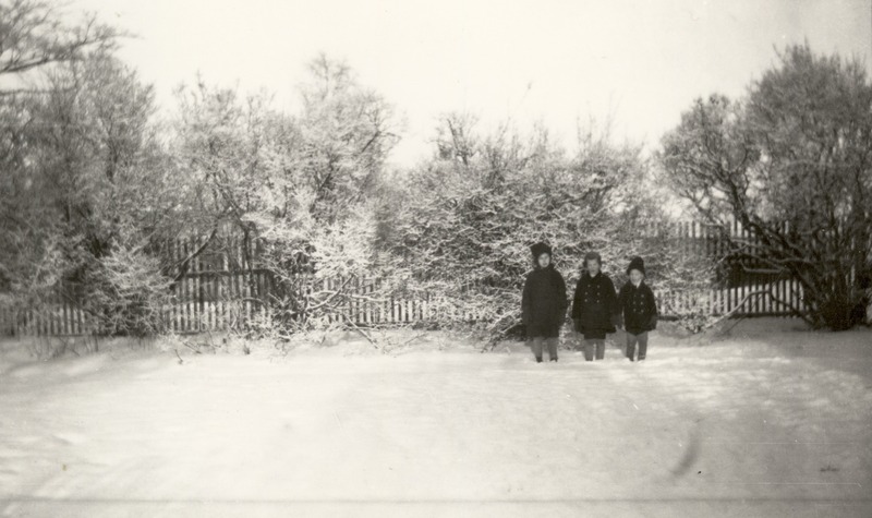 http://omeka.deichman.no/archive/import/B20110269.jpg