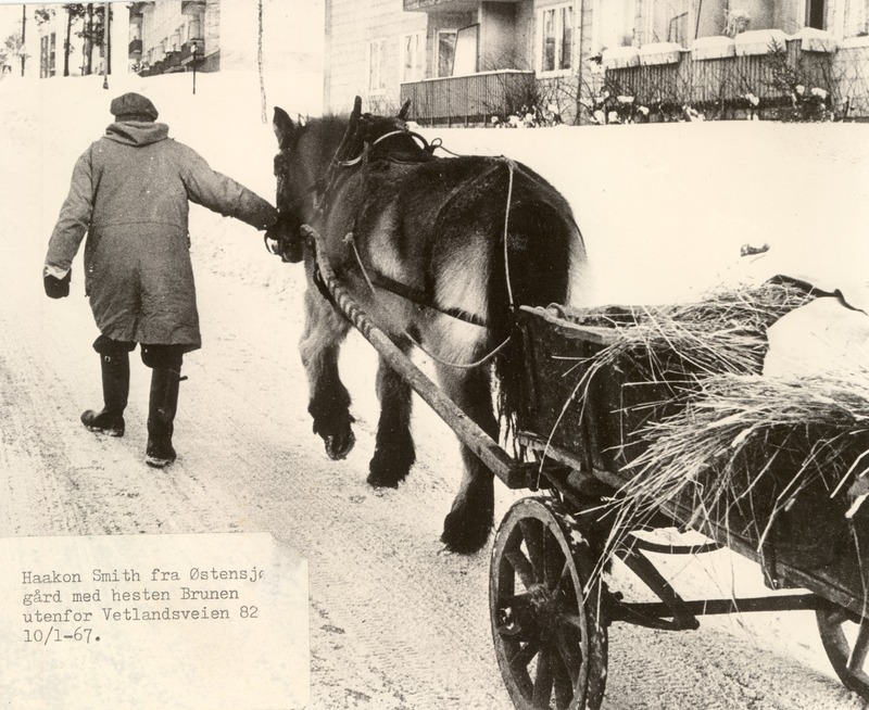 http://omeka.deichman.no/archive/import/B20030040.jpg