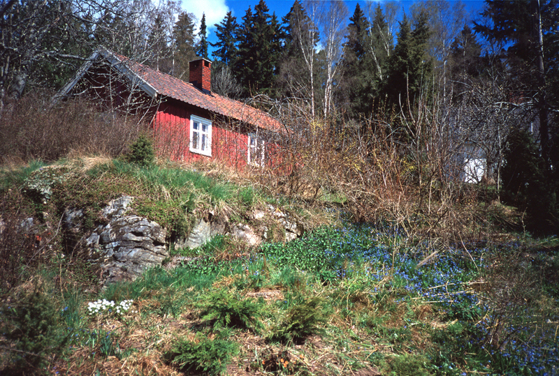 B20170039.jpg