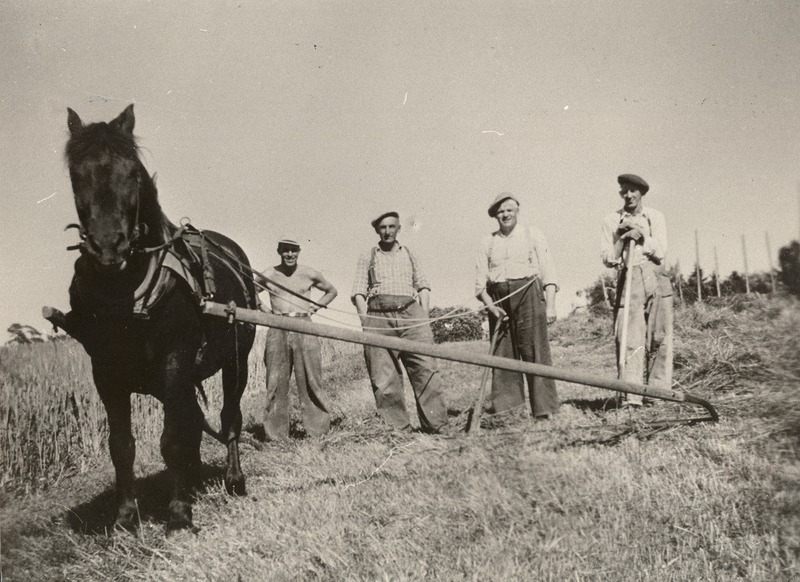 http://omeka.deichman.no/archive/import/B20030148.jpg