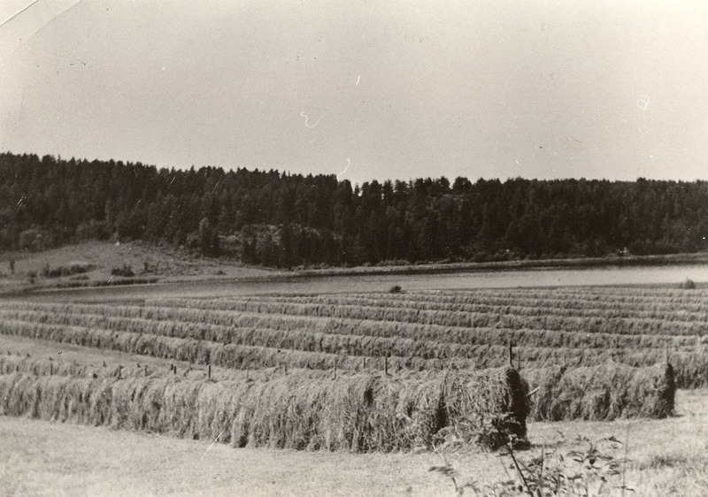 http://omeka.deichman.no/archive/import/B20030147.jpg