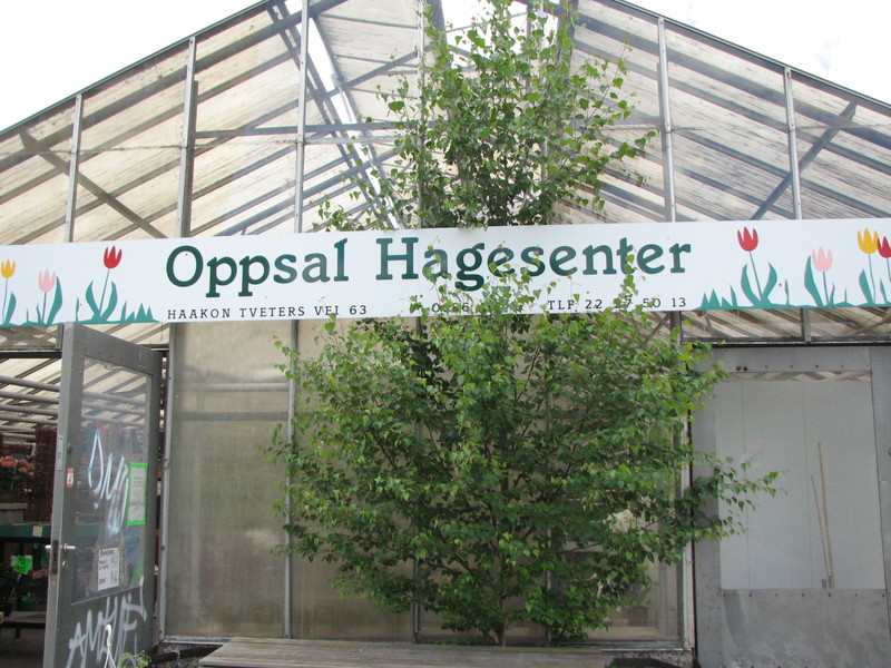 http://omeka.deichman.no/archive/import/B20110173.jpg